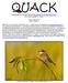 Newsletter of E.J. Peiker, Nature Photographer and  All contents 2009 E.J. Peiker. Winter 2009/2010 (Vol.