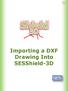 Importing a DXF Drawing Into SESShield-3D