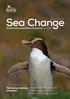 Sea Change. News stories. Partners protecting penguins. BirdLife International Marine Programme newsletter