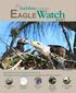 EagleWatch By The Numbers ( ) 511 nest monitored statewide volunteers & partners. 7,200 reports of nest activity