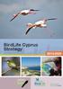 BirdLife Cyprus Strategy