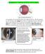 1. Introduction to Anatomy of the Eye and its Adnexa