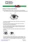 Handout G: The Eye and How We See