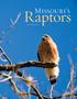 Missouri s. Raptors. By Carol Davit. Plants & Animals