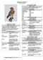 American Kestrel Falco sparverius Conservation Profile