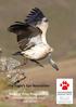 The Eagle s Eye Newsletter. Birds of Prey Programme Endangered Wildlife Trust June Eagle s Eye Newsletter - June