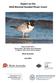 Report on the 2010 Biennial Hooded Plover Count