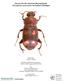 Surveys for the American Burying Beetle (Nicrophorus americanus) in Southern Michigan