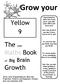 Grow your. Yellow 9. The wee Maths Book. Growth. of Big Brain. Guaranteed to make your brain grow, just add some effort and hard work