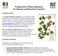 Preparation of Plant Specimens for Deposit as Herbarium Vouchers