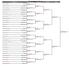 Men's Open Singles - Final Rounds Round of 16. Quarterfinals. V. Pham(1) V. Pham(1) 6-3; 6-3. N. Chadalavada. Dylan Steffens (8) D.