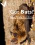 Got Bats? bat. community. 7 Steps for Managing Bats in Buildings: A Guide for Pest Management Professionals in BC. programs of BC.
