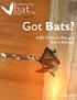bat community programs of BC Got Bats? A BC Guide for Managing Bats in Buildings February 2016 Photo by Jared Hobbs