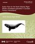 Action Plan for the North Atlantic Right Whale (Eubalaena glacialis) in Canada: Fishery Interactions