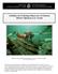 Guidelines for Evaluating Shipwrecks of National Historic Significance in Canada