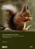 Dublin Mountains Visitor Centre Red Squirrel (Sciurus vulgaris) Conservation Management Plan ROUGHAN & O DONOVAN