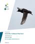 Energinet.dk. Horns Rev 3 Offshore Wind Farm. Technical report no. 8 MIGRATORY BIRDS (WITH AN ANNNEX ON MIGRATING BATS)