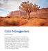 Color Management. By Martin Evening