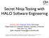Secret Ninja Testing with. Software Engineering