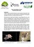 New Forest Batbox Project Hampshire Bat Group