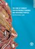 THE CODE OF CONDUCT FOR RESPONSIBLE FISHERIES AND INDIGENOUS PEOPLES: AN OPERATIONAL GUIDE