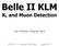 Belle II KLM KL and Muon Detection