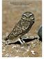 BURROWING OWL PROJECT CLEARANCE GUIDANCE FOR LANDOWNERS