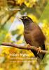 Indian Myna. Control Project Handbook. Managing the invasion of Indian Mynas