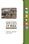 ANNUAL REPORT THE SPECIES AT RISK COMMITTEE THE SPECIES AT RISK (NWT) ACT