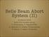 Belle Beam Abort System (II)