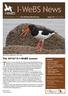 The Newsletter of the Irish Wetland Bird Survey Issue 16 August 2012