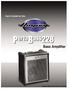 PBC228 PortaBass Amplifier