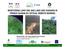 MONITORING LAND USE AND LAND USE CHANGES IN FRENCH GUIANA BY OPTICAL REMOTE SENSING