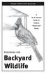 TEXAS PARKS AND WILDLIFE. Guide for Feeders, Houses and Plants. Providing for. Backyard Wildlife