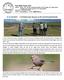 13-31 July UK birders plus Tang Jun as the local bird guide/leader