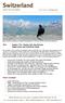 Alpine Chough in grand alpine surroundings! Photographed on our June tour to the Swiss Alps Brian Small/Limosa