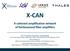 X-CAN. A coherent amplification network of femtosecond fiber amplifiers