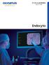 Real-Time in vivo Observation of Cells and Nuclei Opens New Possibilities for Diagnostic Endoscopy