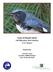 Town of Kiawah Island Fall Migration Bird Banding 2010 Report