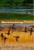 TOP PHOTOGRAPH: CYRUS MINNESOTA AREA BY JAMES AND MELISSA PETERSON, BOTTOM PHOTOGRAPHS: GREEN-WINGED TEAL BY SILL MARCHEL