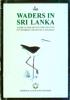 WADERS IN SRI LANKA NATIONAL SCIENCE FOUNDATION A GUIDE TO THEIR IDENTIFICATION AND STUDY P N DAYAWANSA AND MAYURI R WUESINGHE