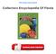 Collectors Encyclopedia Of Fiesta Ebooks Free