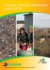 Limpopo: Informal settlements Status (2013)