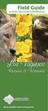 Field Guide. to Birds, Mammals & Wildflowers. Los Vaqueros. Reservoir & Watershed.