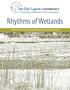 Rhythms of Wetlands. Teacher s Guide Grades 3 5 Supplemental Curriculum & Field Experience