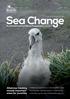 Sea Change. News stories. Albatross tracking reveals important areas for juveniles. BirdLife International Marine Programme newsletter