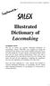 Illustrated Dictionary of Lacemaking
