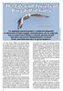 The Life and Travels of Ring-billed Gulls