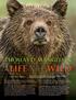A LIFE IN THE WILD THOMAS D. MANGELSEN