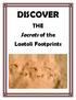 DISCOVER THE Secrets of the Laetoli Footprints